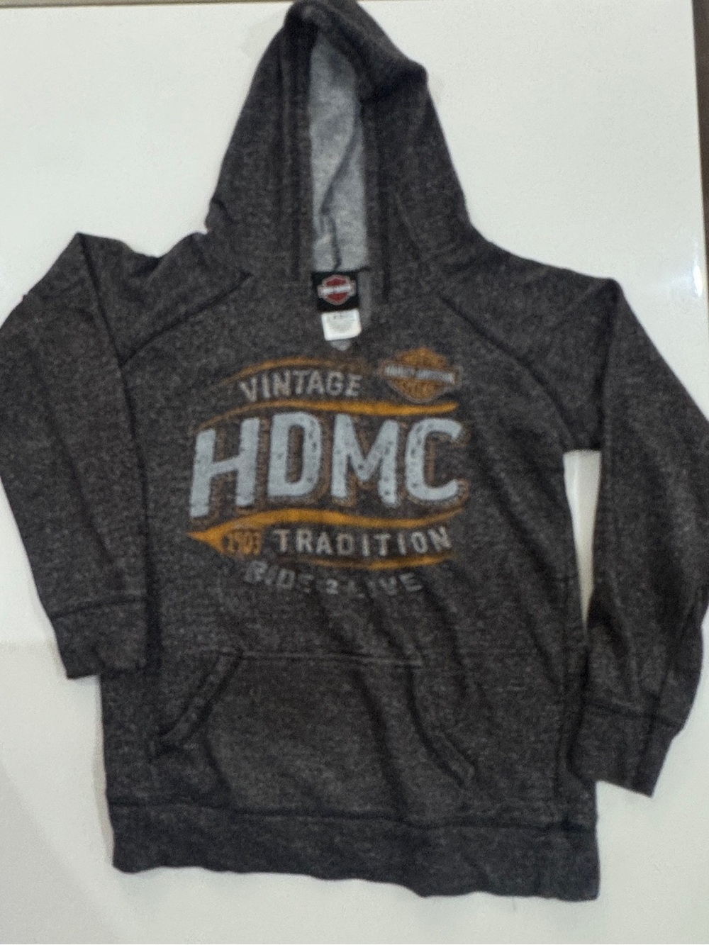 Harley-DavidsonGraphic Vintage-Style Hoodie